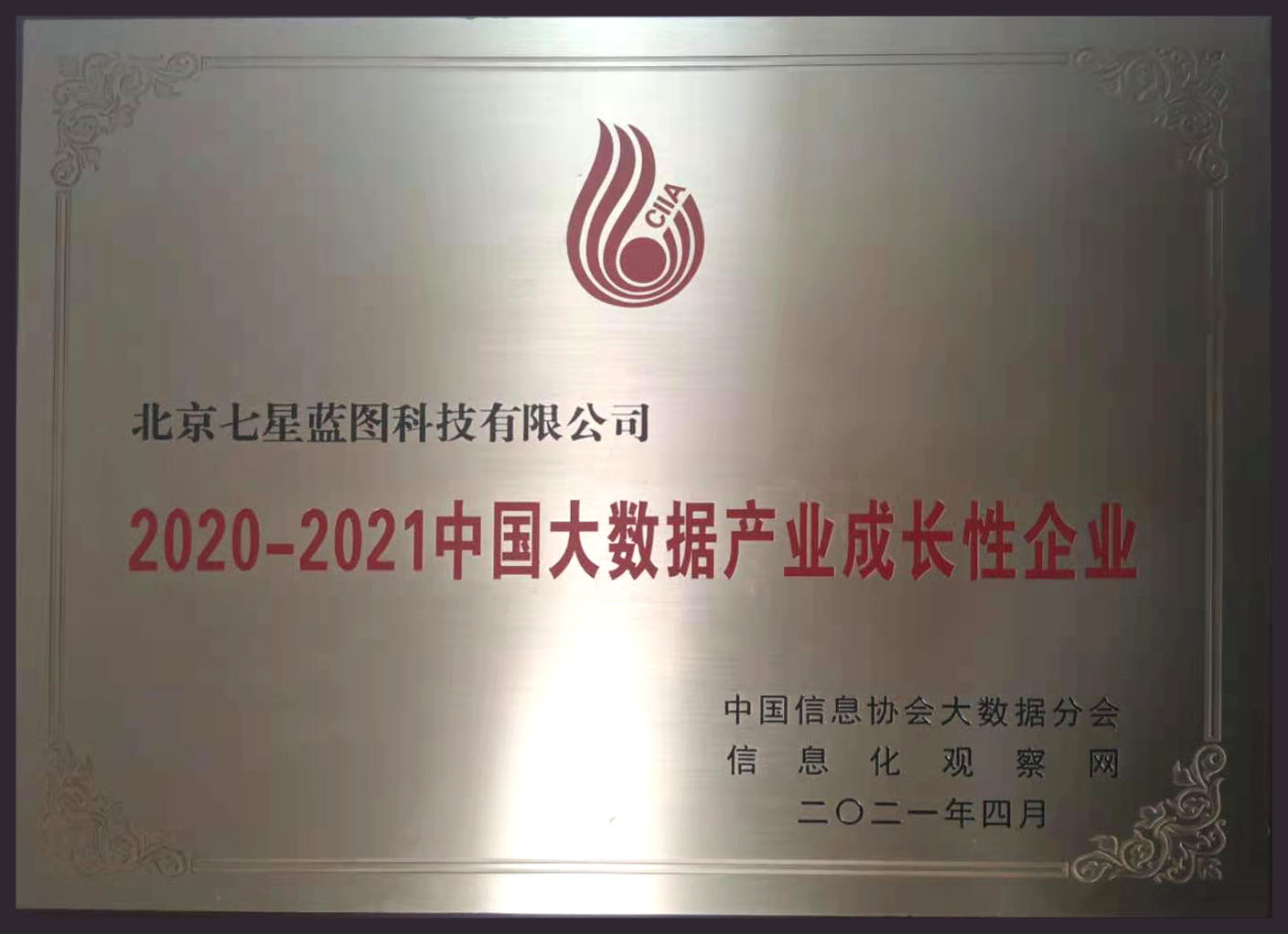 2021中國(guó)大數(shù)據(jù)成長(zhǎng)企業(yè).jpg